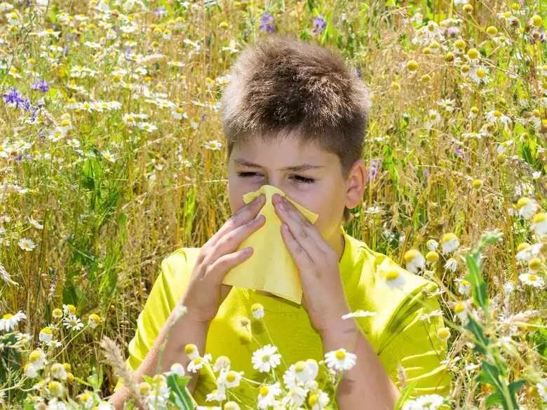 Przeciwalergiczny preparat zniknie z aptek na terenie kraju