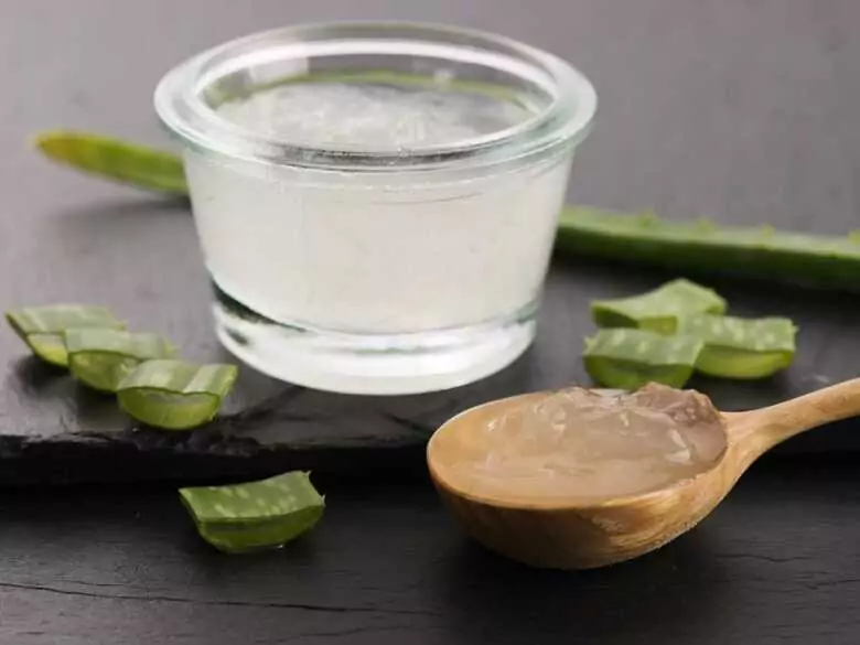 Aloes – wsparcie dla skóry w zimowe dni